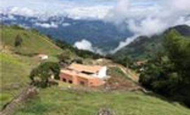 Venta Finca en Fredonia Antioquia