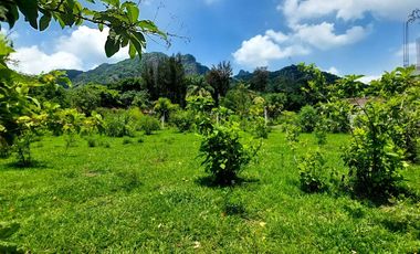 Terreno en venta en Tepoztlán Morelos, en zona tranquila