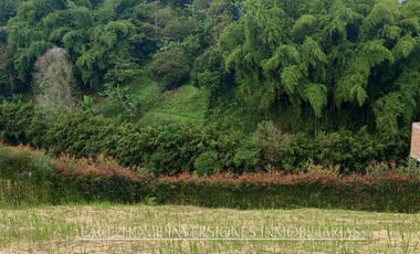 EN VENTA FINCA EN PASTO SANTA ROSA DE CABAL SECTOR VIA EL ESPAÑOL EXCELENTE TOPOGRAFÍA