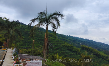 EN VENTA FINCA EN PASTO SANTA ROSA DE CABAL SECTOR VIA EL ESPAÑOL EXCELENTE TOPOGRAFÍA