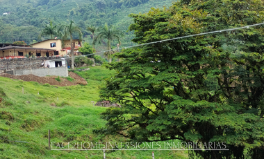 EN VENTA FINCA EN PASTO SANTA ROSA DE CABAL SECTOR VIA EL ESPAÑOL EXCELENTE TOPOGRAFÍA