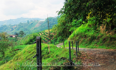 EN VENTA FINCA EN PASTO SANTA ROSA DE CABAL SECTOR VIA EL ESPAÑOL EXCELENTE TOPOGRAFÍA
