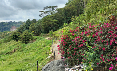 EN VENTA FINCA EN PASTO SANTA ROSA DE CABAL SECTOR VIA EL ESPAÑOL EXCELENTE TOPOGRAFÍA
