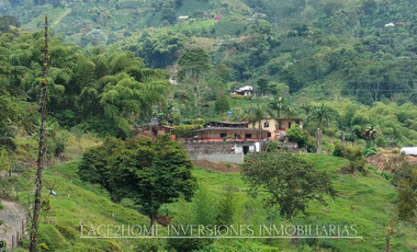 EN VENTA FINCA EN PASTO SANTA ROSA DE CABAL SECTOR VIA EL ESPAÑOL EXCELENTE TOPOGRAFÍA