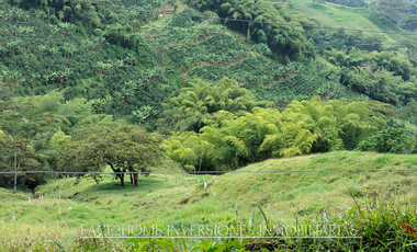 EN VENTA FINCA EN PASTO SANTA ROSA DE CABAL SECTOR VIA EL ESPAÑOL EXCELENTE TOPOGRAFÍA