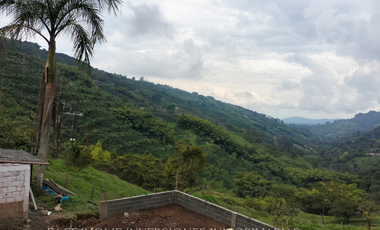 EN VENTA FINCA EN PASTO SANTA ROSA DE CABAL SECTOR VIA EL ESPAÑOL EXCELENTE TOPOGRAFÍA