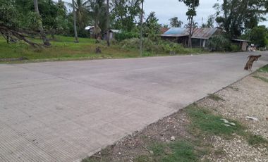 For Sale Commercial Lots in Valladolid, Carcar City,Cebu