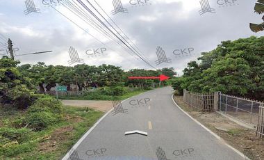 Land with buildings for sale, Nam Dip Subdistrict, Pa Sang District, Lamphun