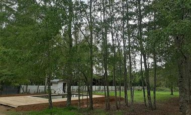 Vendo 3 casas camino Pucón con Recepción Municipal