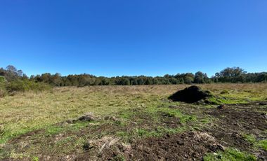 Parcelación en venta Conquil  4 kilómetros de Villarrica