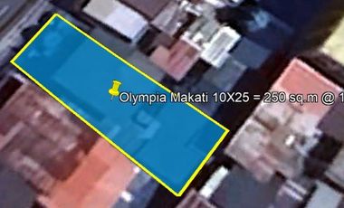 OLYMPIA MAKATI CITY LOT @ 250 SQM NEAR AYALA CIRCUIT