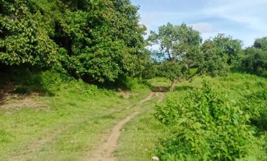 154-Hectare Lot for Commercial, Agri-Farm OR Housing Development in Magallanes cavite , close to  Tagaytay Nasugbu road FOR SALE