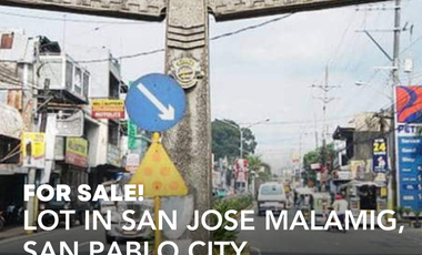 Land for sale in Laguna, San Pablo City