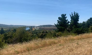 PARCELA DESDE $25.000.000 CON VISTA AL RIO BUENO, SECTOR RIACHUELO