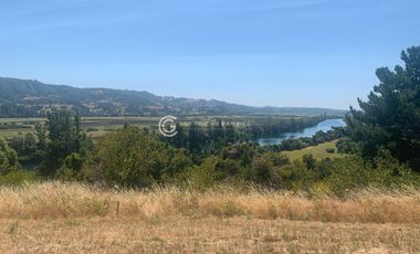 PARCELA DESDE $25.000.000 CON VISTA AL RIO BUENO, SECTOR RIACHUELO