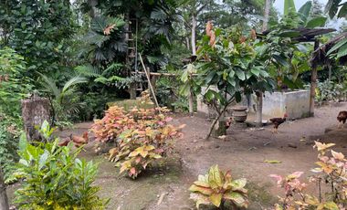 Vendo Finca de 6 hectáreas en Puerto Quito.