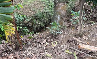 Vendo Finca de 6 hectáreas en Puerto Quito.
