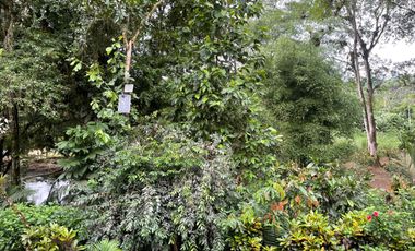 Vendo Finca de 6 hectáreas en Puerto Quito.