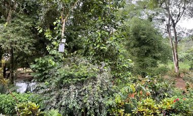 Vendo Finca de 6 hectáreas en Puerto Quito.