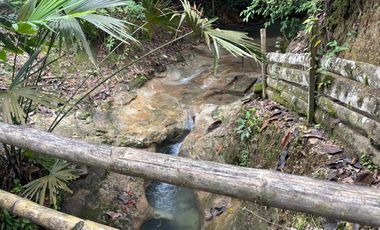 Vendo Finca de 6 hectáreas en Puerto Quito.