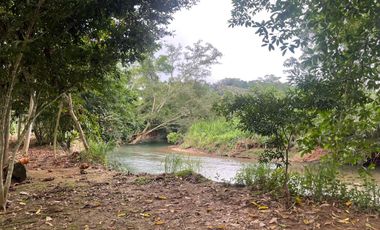 Vendo Finca de 6 hectáreas en Puerto Quito.
