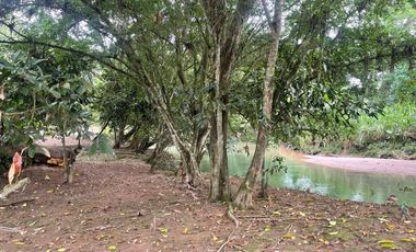 Vendo Finca de 6 hectáreas en Puerto Quito.
