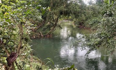 Vendo Finca de 6 hectáreas en Puerto Quito.