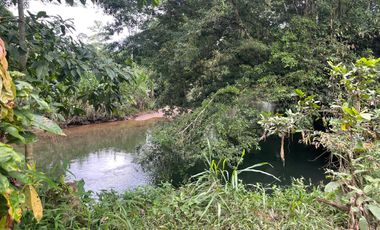 Vendo Finca de 6 hectáreas en Puerto Quito.