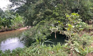 Vendo Finca de 6 hectáreas en Puerto Quito.
