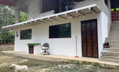 Vendo Finca de 6 hectáreas en Puerto Quito.
