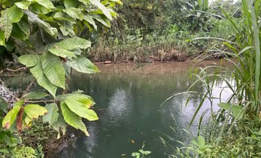 Vendo Finca de 6 hectáreas en Puerto Quito.