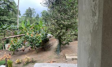 Vendo Finca de 6 hectáreas en Puerto Quito.