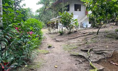 Vendo Finca de 6 hectáreas en Puerto Quito.