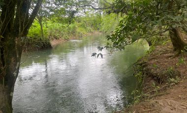 Vendo Finca de 6 hectáreas en Puerto Quito.