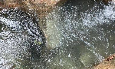 Vendo Finca de 6 hectáreas en Puerto Quito.