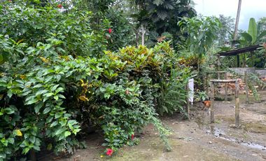 Vendo Finca de 6 hectáreas en Puerto Quito.
