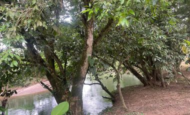 Vendo Finca de 6 hectáreas en Puerto Quito.