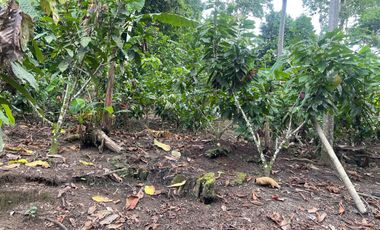 Vendo Finca de 6 hectáreas en Puerto Quito.