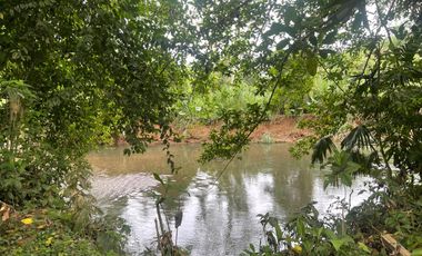 Vendo Finca de 6 hectáreas en Puerto Quito.