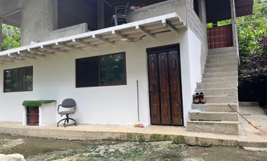 Vendo Finca de 6 hectáreas en Puerto Quito.