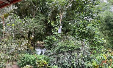 Vendo Finca de 6 hectáreas en Puerto Quito.