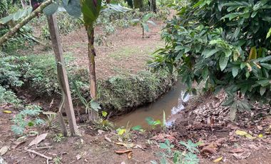 Vendo Finca de 6 hectáreas en Puerto Quito.