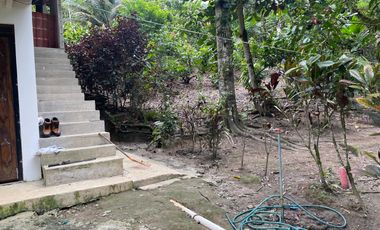 Vendo Finca de 6 hectáreas en Puerto Quito.