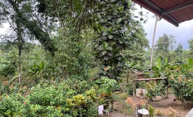 Vendo Finca de 6 hectáreas en Puerto Quito.