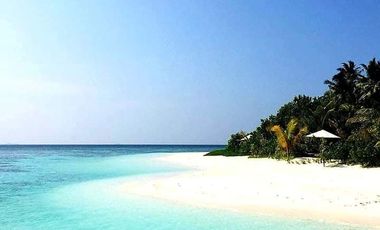 Luxurious 2-Bedroom Beachfront Condo with Indoor Parking at Aruga Resort and Residences, Mactan