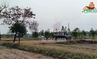 ที่ดินใกล้โรงเรียนบ้านหนองแดงตำบลหนองแดง อำเภอนาเชือก มหาสารคาม เนื้อที่ 12 ไร่ (เท่ากับ 4,800 ตารางวา)