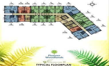 Pioneer Woodlands