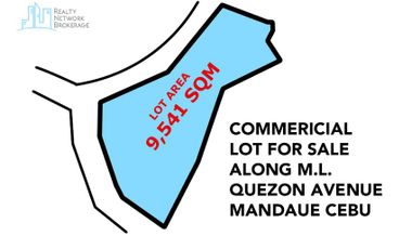 9,500 Sqm Commercial Lot For Sale Along M.L. Quezon Avenue Mandaue Cebu