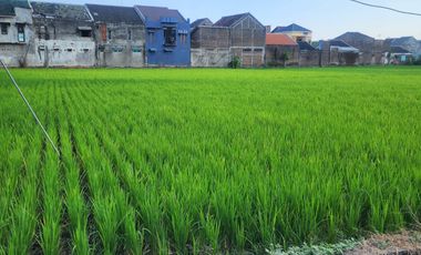 DIJUAL Tanah Super Strategis Istimewa di Pusat Kota Madiun