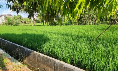 DIJUAL Tanah Super Strategis Istimewa di Pusat Kota Madiun